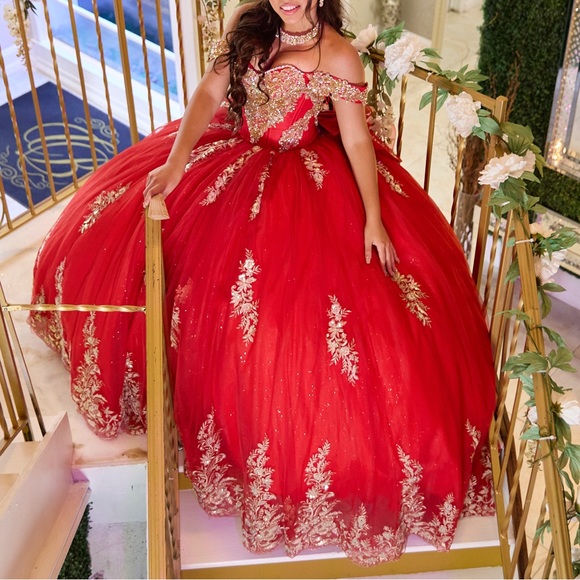 Custom made quinceañera dress - Picture 5 of 5